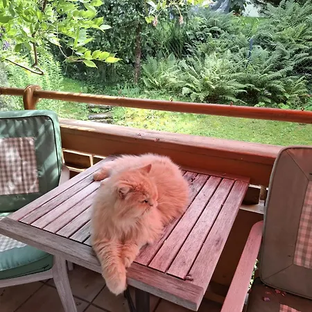 Apartman Martinsklause By Interhome Maishofen