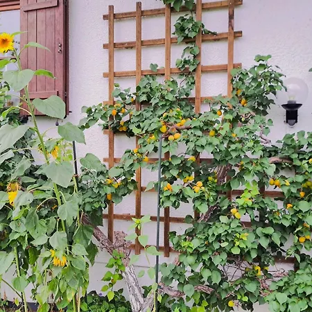 Apartman Martinsklause By Interhome