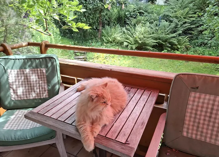 아파트 Martinsklause By Interhome 마이스호펜