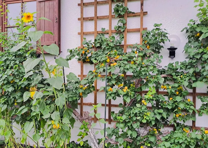 Apartmán Martinsklause By Interhome